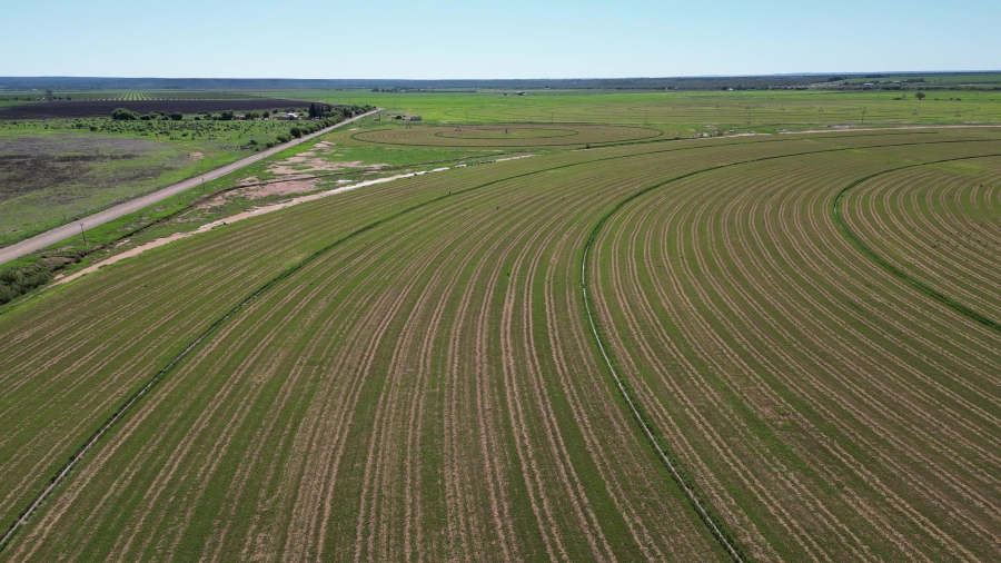 0 Bedroom Property for Sale in Douglas Rural Northern Cape